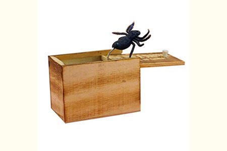 Caja sorpresa con insecto