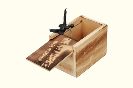 Wooden Insect Surprise