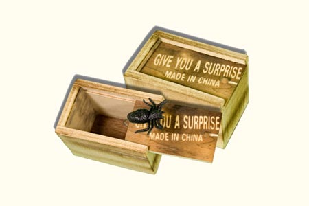 Wooden Insect Surprise