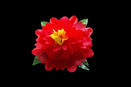 Flor Peony Roja de aparición - 45 cm