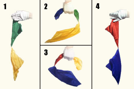 Foulards Caméléons 35 cm