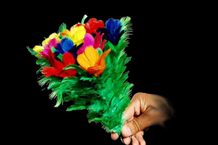 Bouquet à Apparition Eco (10 fleurs)