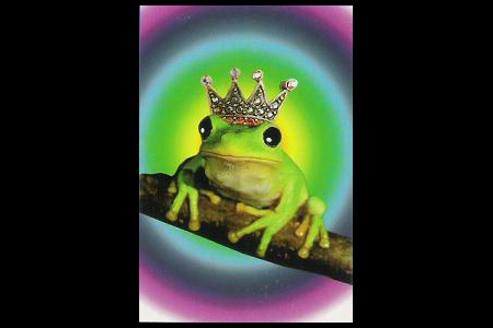 La Grenouille en prince