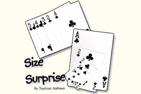 Size Surprise