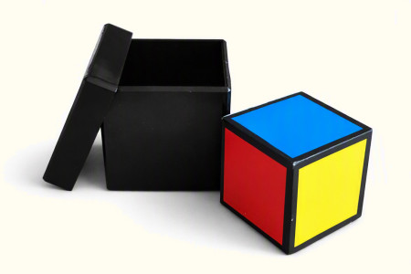 Color Vision