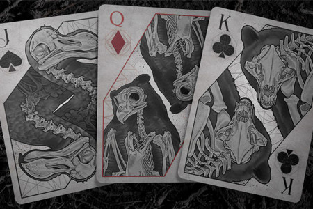 Bones (Dust) Playing Cards