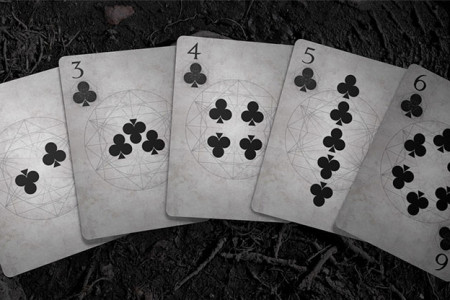 Bones (Dust) Playing Cards