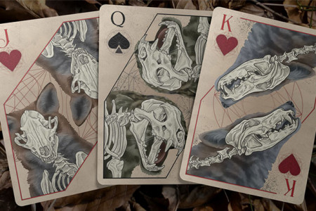 Bones (Rebirth) Playing Cards