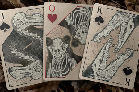 Bones (Rebirth) Playing Cards