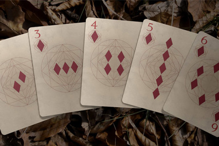 Bones (Rebirth) Playing Cards