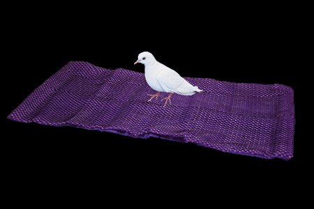 Desaparición de paloma en un pañuelo (Dove Sensa