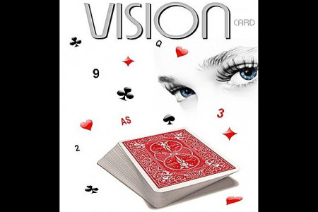 Vision