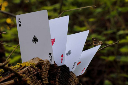 Wood Element (White) Playing Cards