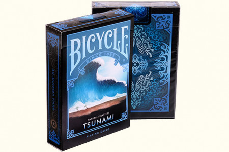 Jeu Bicycle Tsunami (Natural Disasters)