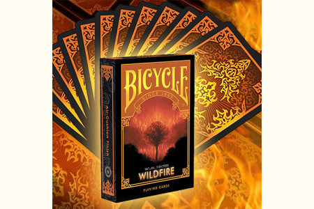 Bicycle Wildfire (Natural Disasters)