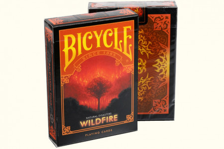 Bicycle Wildfire (Natural Disasters)
