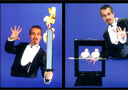 Doves on Fire Sword