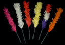 Color changing feathers (Grand)