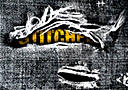 Stitched (DVD + Gimmick)