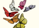 Butterfly blizzard : Recargas