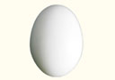 Aerial Egg