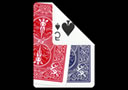 BICYLE Card with Fanned Back
