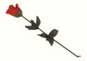 article de magie Apparition d'une Rose