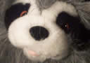 article de magie Roxie Raccoon