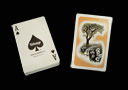 Illustrated TRUMP Deck - Forest Road