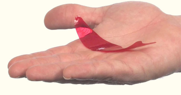 Générique De La Série Animée « Fortune Dogs » (2002 à 2003) (vidéo