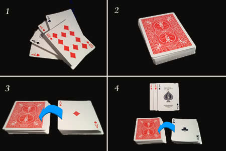 BICYCLE Stripper Deck