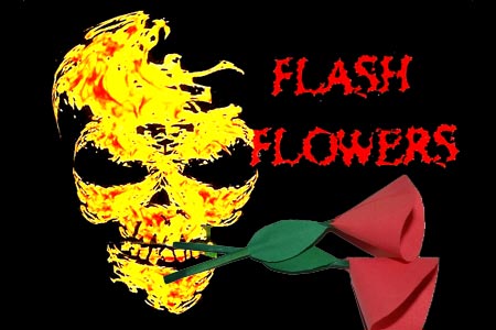 Flash Flowers (8 flowers)