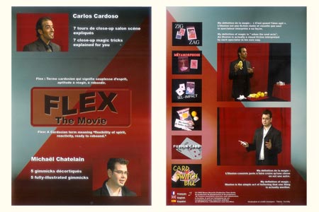 DVD Flex The Movie