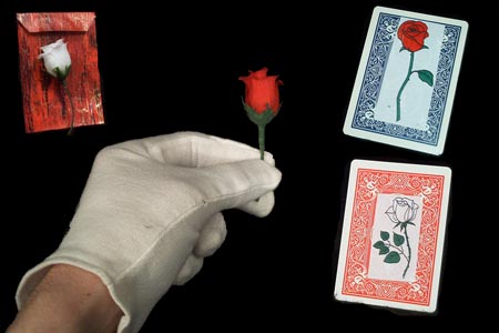 Lover rose trick