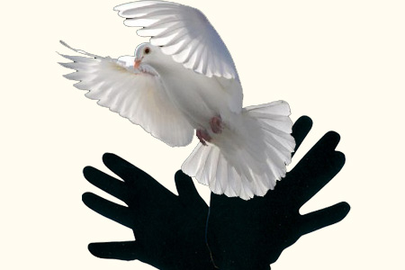 Paloma y guantes negros