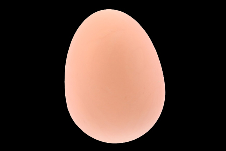 Oeuf rebondissant