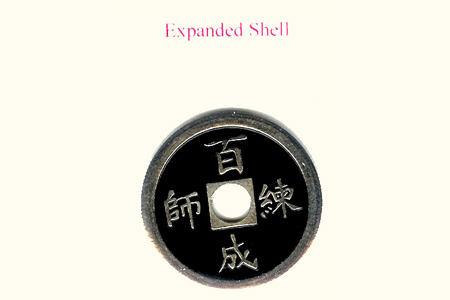 Coquille Noire pour pièce chinoise couleur