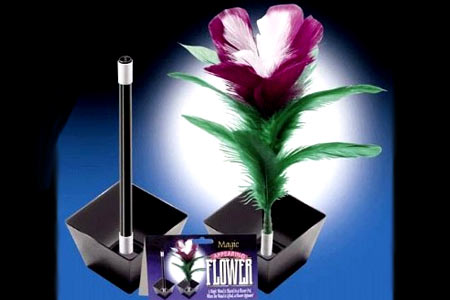 Appearing flower