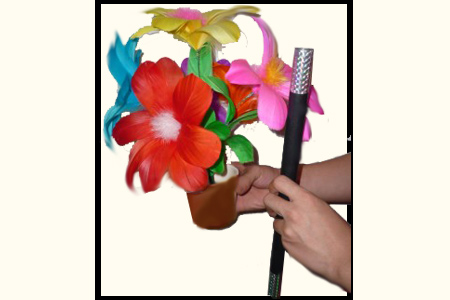Bouquet de fleurs à la baguette Deluxe