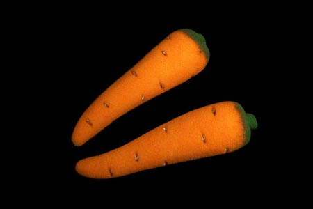 Sponge carrots