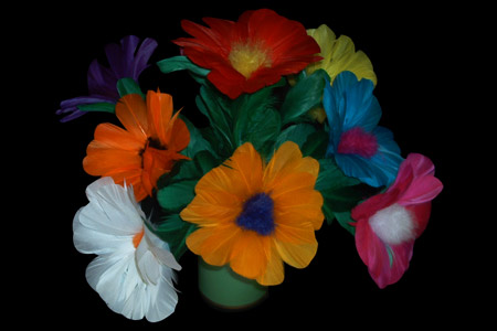 Bouquet Ramo de Flores 9 (Tora)