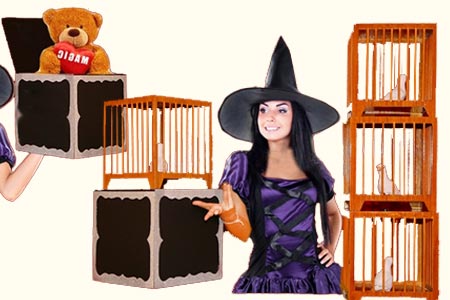Everything to 4 Dove Cages