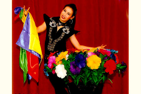 Aparición de Tiesto de Flores de Pañuelos