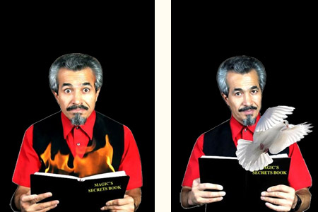 Dove and fire book