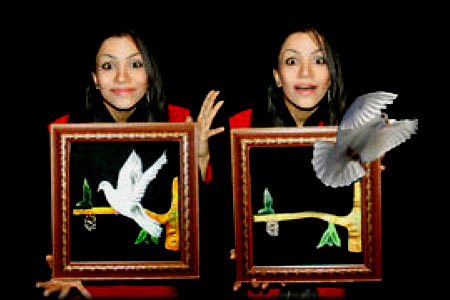 Cuadro de Dibujo a Paloma de lujo