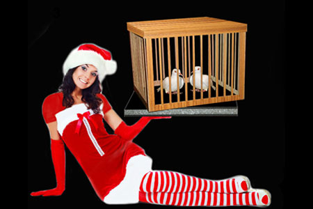 Appearing big dove cage from tray