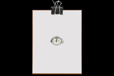 Clipboard de mentaliste A4