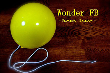 Wonder FB (DVD + Gimmick)