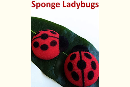 Mariquitas de Esponja