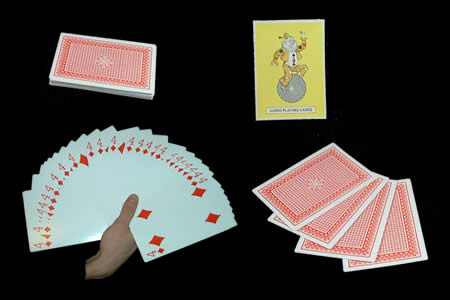 Jeu Jumbo Eco à Forcer
